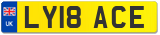 LY18 ACE