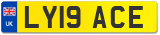 LY19 ACE