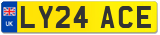 LY24 ACE