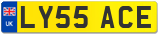 LY55 ACE