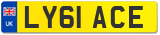 LY61 ACE