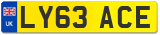 LY63 ACE