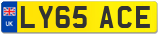 LY65 ACE