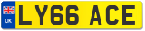 LY66 ACE