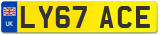 LY67 ACE