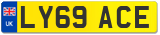 LY69 ACE