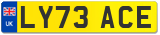 LY73 ACE