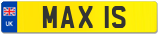 MAX 1S