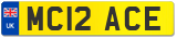 MC12 ACE