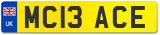 MC13 ACE