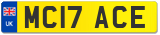 MC17 ACE