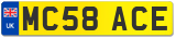 MC58 ACE