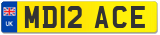 MD12 ACE