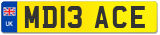 MD13 ACE