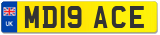 MD19 ACE