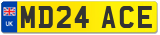 MD24 ACE