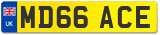 MD66 ACE