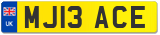 MJ13 ACE