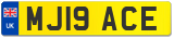 MJ19 ACE