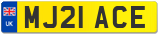 MJ21 ACE