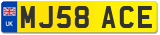 MJ58 ACE