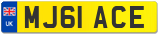 MJ61 ACE