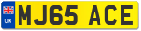 MJ65 ACE