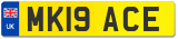 MK19 ACE