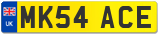 MK54 ACE