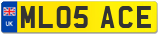 ML05 ACE