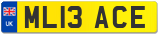 ML13 ACE