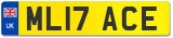 ML17 ACE