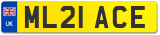 ML21 ACE