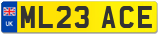 ML23 ACE