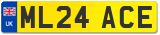 ML24 ACE