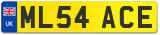 ML54 ACE