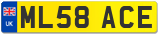 ML58 ACE