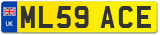 ML59 ACE