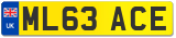 ML63 ACE