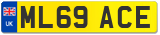 ML69 ACE