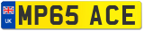 MP65 ACE