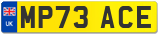 MP73 ACE
