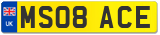 MS08 ACE