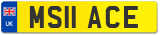 MS11 ACE