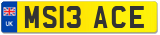 MS13 ACE