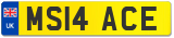 MS14 ACE