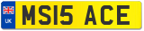 MS15 ACE