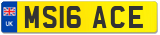 MS16 ACE