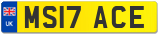 MS17 ACE