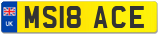 MS18 ACE